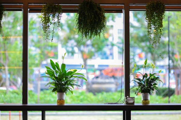 Obtenez votre carte grise à caen facilement et rapidement